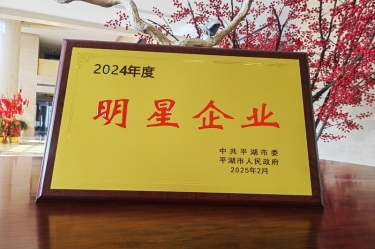 新春新景新气象 | 景兴纸业在平湖三干大会上喜摘荣誉！